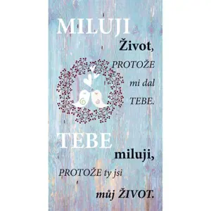 Produkt Bohemia Gifts Dekorační obraz Miluji život, 20 x 40 cm