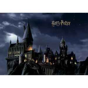 Produkt Dětská fototapeta Harry Potter 252 x 182 cm, 4 díly