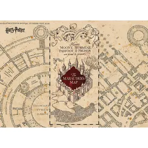 Produkt Dětská fototapeta Harry Potter Marauders Map 252 x 182 cm, 4 díly