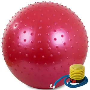 Produkt Gymnastický masážní míč 60 cm s pumpičkou, červený