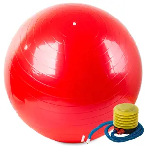 Produkt Gymnastický míč 65 cm s pumpičkou, červený
