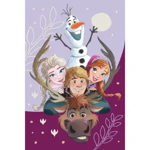 Produkt Jerry Fabrics Dětská deka Frozen Family 03, 100 x 150 cm