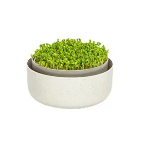 Produkt Plastia Microgreens, slonová kost s kávovou sedlinou