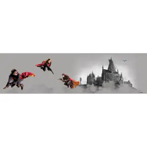 Produkt Samolepicí bordura Harry Potter Famfrpál, 500 x 9,7 cm