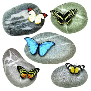 Produkt Samolepicí dekorace Butterflies on Stones, 30 x 30 cm