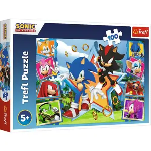 Produkt Trefl Puzzle Sonic Seznamte se s ježkem, 100 dílků