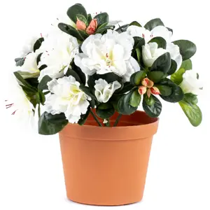 Produkt Umělá květina Azalka v květináči bílá, 21 x 10 x 10 cm