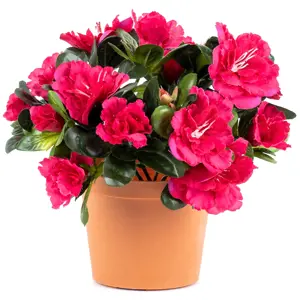 Produkt Umělá květina Azalka v květináči růžová, 21 x 10 x 10 cm