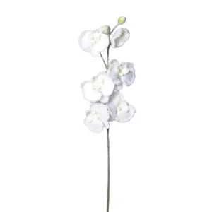 Produkt Umělá zasněžená Orchidej bílá, 81 cm