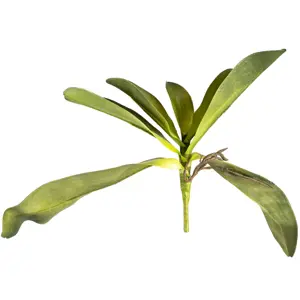 Produkt Umělý List orchideje s kořínky, 30 cm