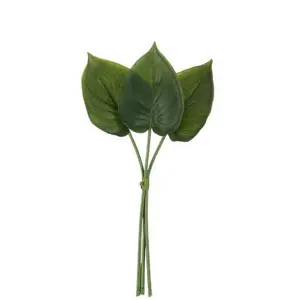 3 okrasné listy Philodendron I - 30cm J-Line by Jolipa