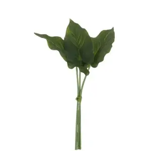 3 okrasné listy Philodendron II - 30cm J-Line by Jolipa