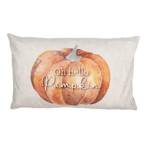 Produkt Béžovo-oranžový povlak na polštář s dýní Pumpkin Patch - 30*50 cm Clayre & Eef