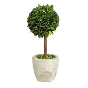 Buxus na kmínku v květináči - Ø10*24 cm J-Line by Jolipa