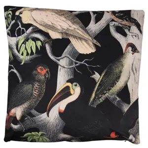 Produkt Černý sametový polštář s výplní Toucan - 45*45cm Clayre & Eef