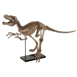 Dekorace dinosaurus Raptor na kovové noze - 145*59*81,5 cm J-Line by Jolipa