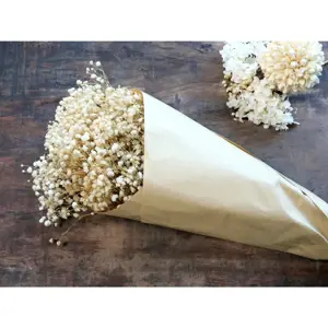 Dekorace sušená květina Baby's Breath Flowers - 77 cm Chic Antique