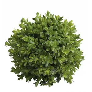 Produkt Dekorace umělá zelená koule Buxus - Ø 23cm Chic Antique