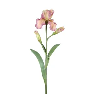 Dekorace umělý růžovo-fialový kosatec Iris Pale - 81 cm Ostatní