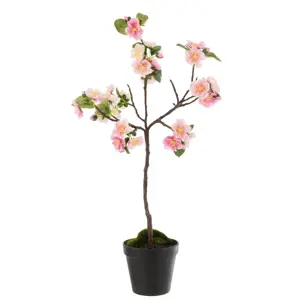 Dekorace umělý růžový kvetoucí stromek Blossom - 20*20*50 cm J-Line by Jolipa