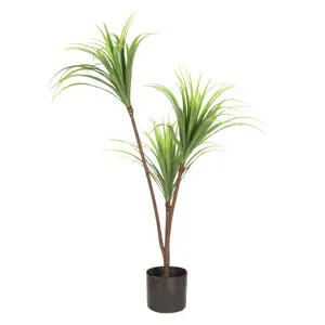 Produkt Dekorační pokojová rostlina Dracena - 75 cm Clayre & Eef