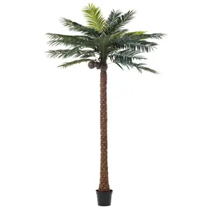 Okrasná palma v květináči Palm - Ø190*350cm J-Line by Jolipa