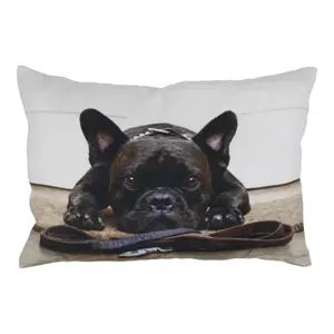 Plátěný polštář s buldočkem French Bulldog - 35*50*10cm Mars & More