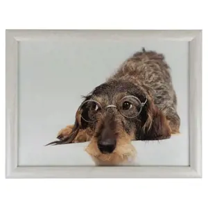 Produkt Podnos na nohy s jezevčíkem v brýlích Dachshund humour - 43*33*7cm Mars & More