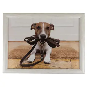 Podnos na nohy se psem Jack Russell - 43*33*7cm Mars & More