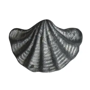 Produkt Šedá antik litinová úchytka mušle Shell - 6*4*4,5 cm Chic Antique