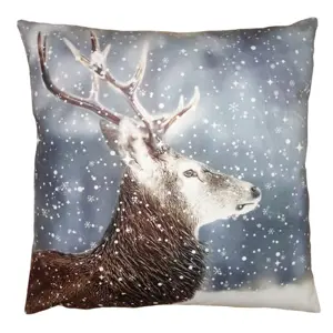 Produkt Zimní sametový povlak na polštář Jelen Deer II - 45*45 cm Clayre & Eef